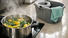 레몬 껍질·유칼립투스·식초로 만드는 천연 청소액, 바닥 냄새까지 정리하는 법