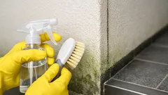 장마 끝나고 외벽 코케 제거, 집에서 안전하게 하는 4단계