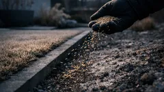 겨울에도 잔디를 심을 수 있다? 휴면 파종으로 봄 잔디를 앞당기는 법