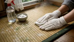 다다미 곰팡이 제거법 한 번에 정리: 색깔별 청소와 재발 방지 루틴